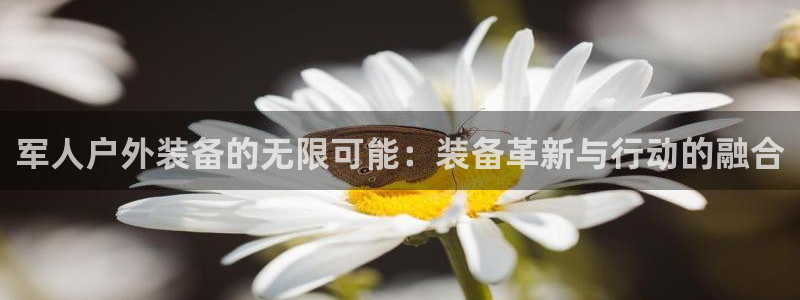 新宝gg是新宝几