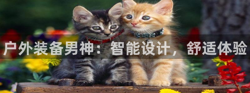 新宝gg套利