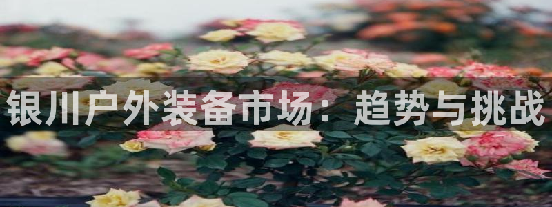 新宝gg 77848扣
