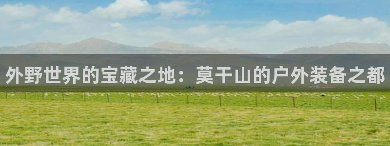 新宝gg真的