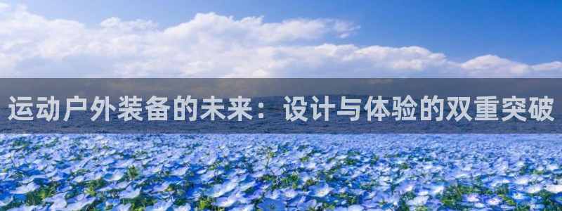 新宝gg正规