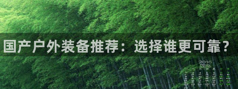 新宝gg创造奇迹 新宝gg