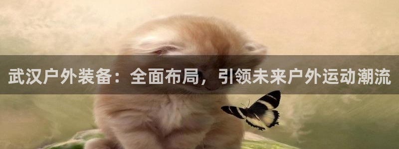 新宝gg娱乐-上鼎狐网