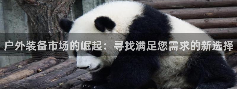 新宝gg代理登录