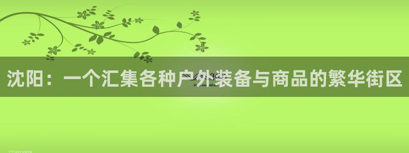 新宝gg注册网站