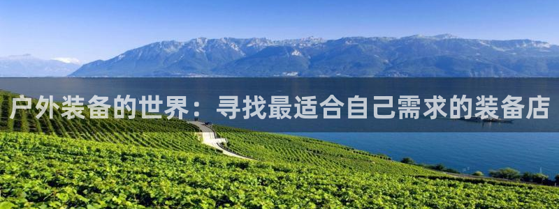 新宝gg会员登录