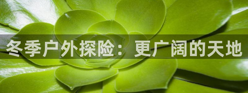 新宝GG娱乐下载