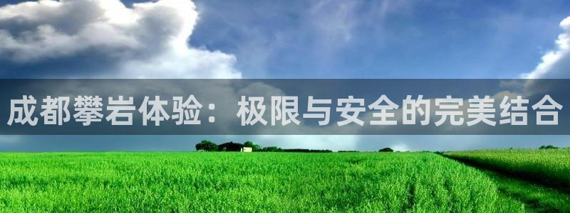 新宝gg待遇