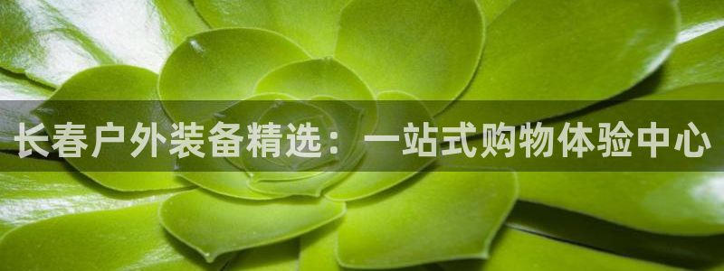 下载新宝gg