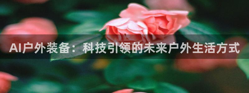 新宝gg登陆