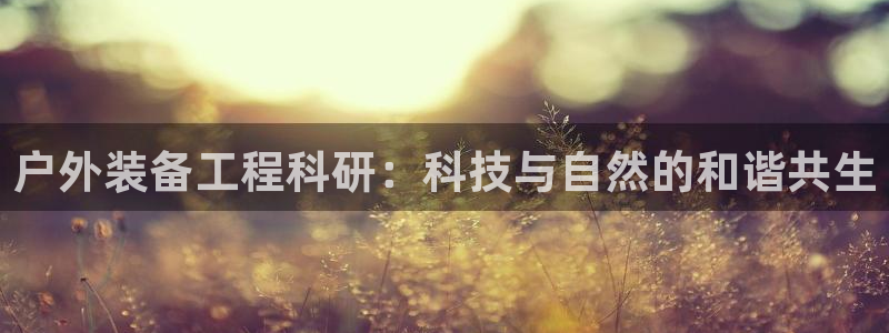 新宝gg什么