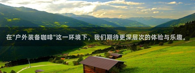 新宝gg重