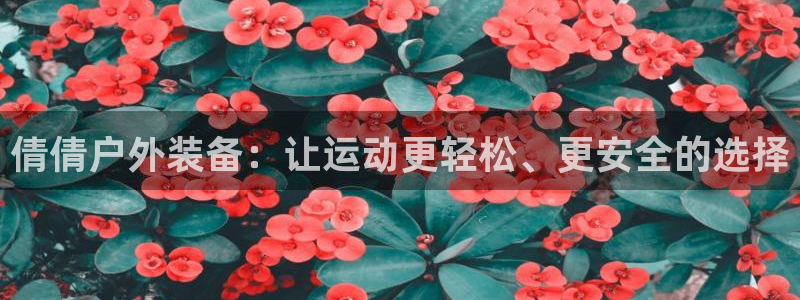 新宝gg刷流水