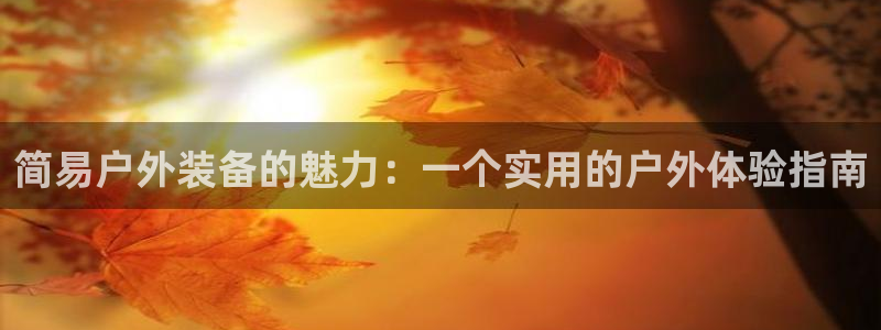 新宝gg招商-299136