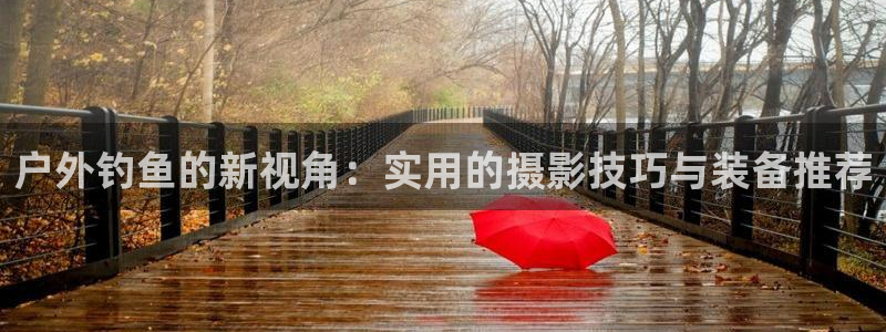 新宝gg 开户