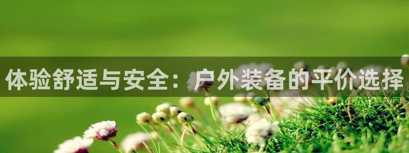新宝gg属于