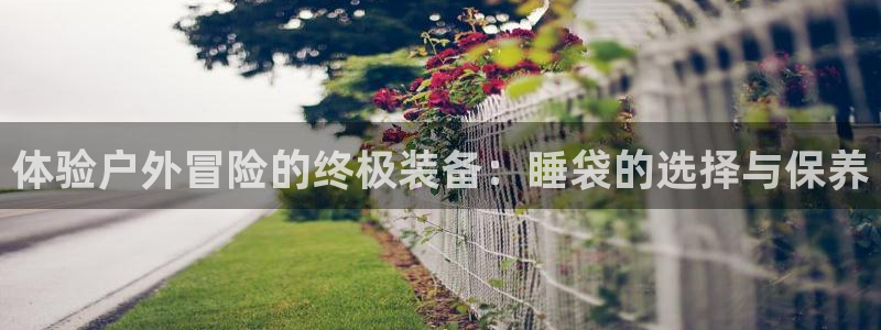 新宝gg投注