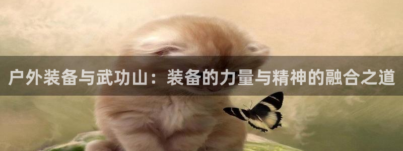 新宝gg申请账号