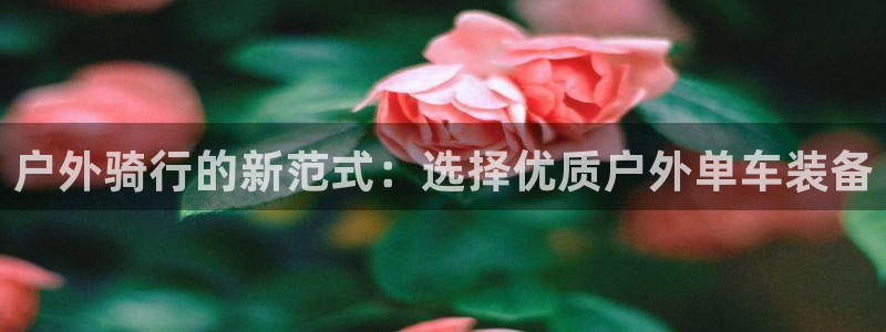 新宝gg吧