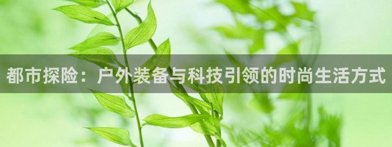新宝GG挂机