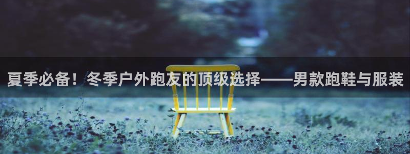 新宝GG跑路