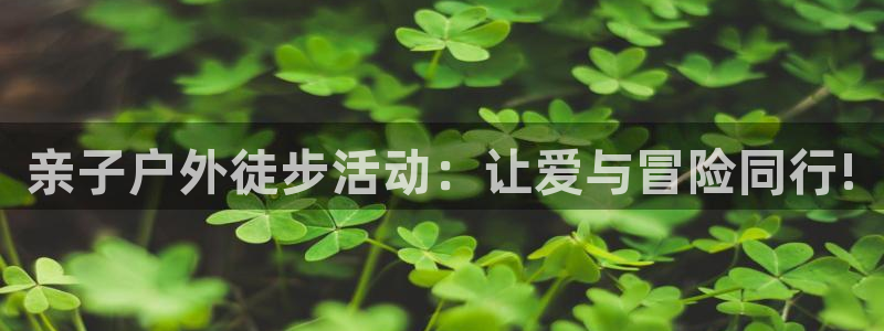 新宝gg挂机app
