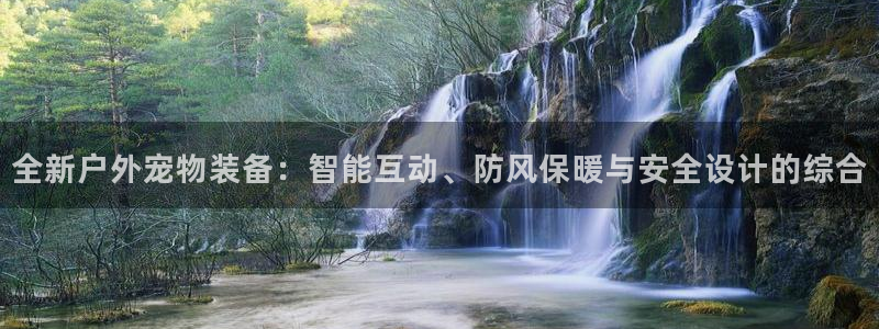 新宝gg注销