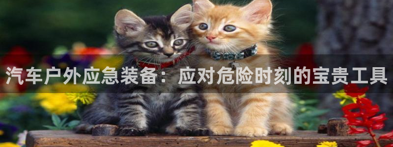 新宝gg创造奇迹平台