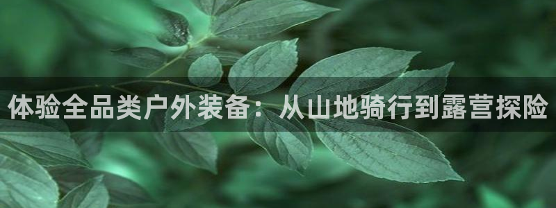 创造奇迹 新宝gg
