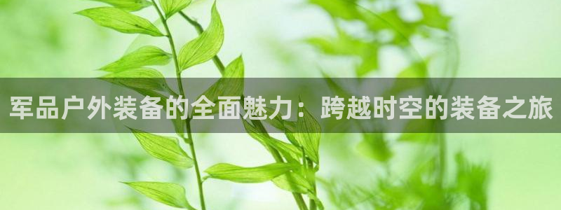新宝GG网页