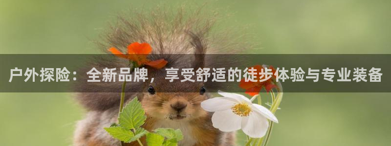 新宝gg登录地址