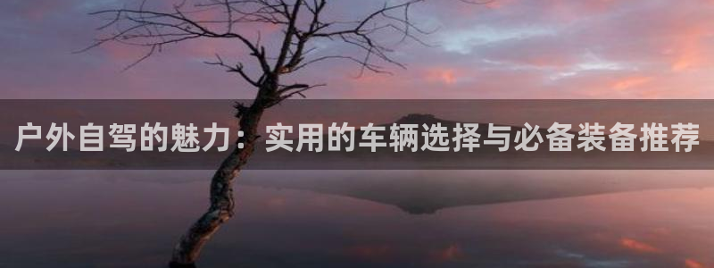 新宝gg平台登录 新宝GG