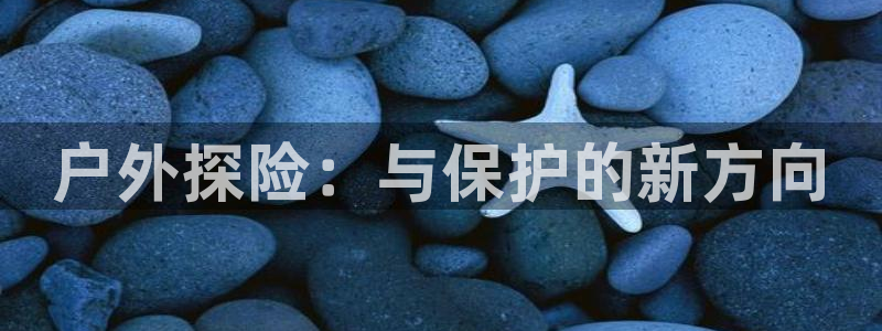 怎么代理新宝gg