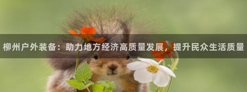 创造奇迹新宝gg