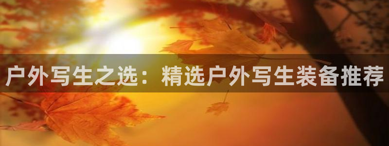 新宝gg注册新账号