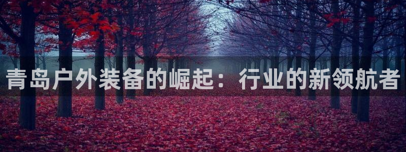 新宝gg 登陆