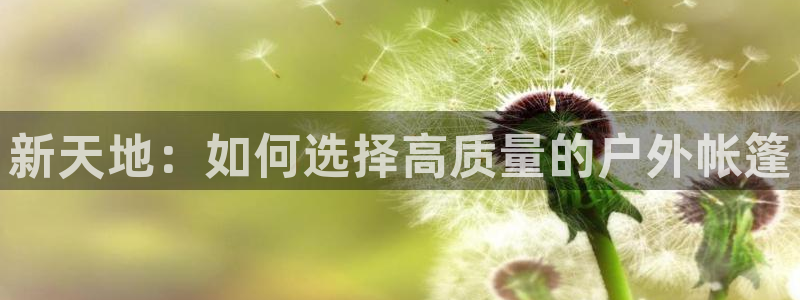 分分新宝gg