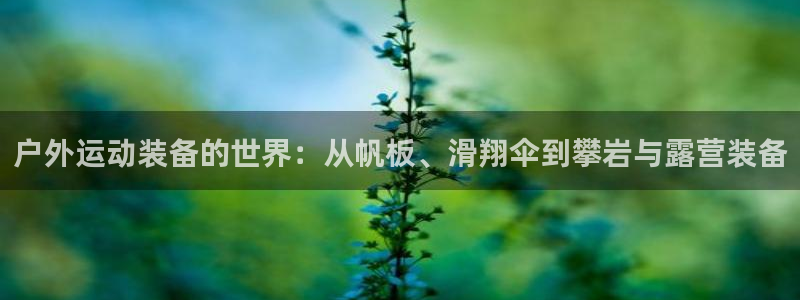 新宝gg平台开发