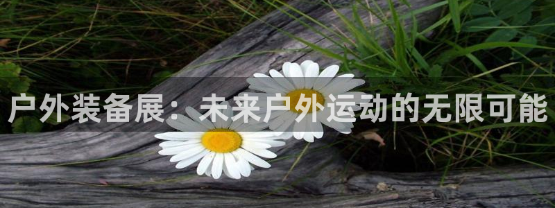 新宝gg 登陆