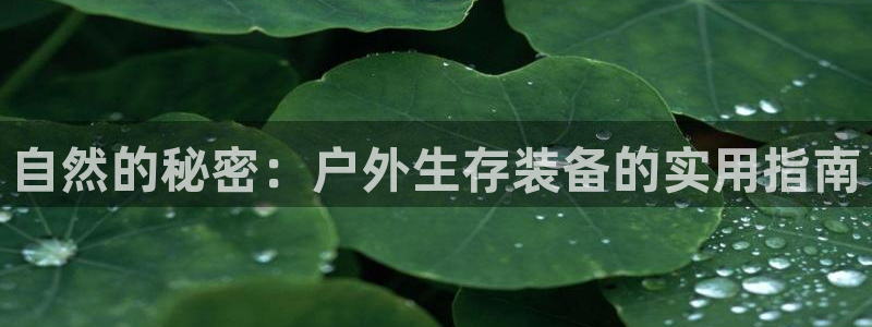 新宝gg平台gg登录gg网址