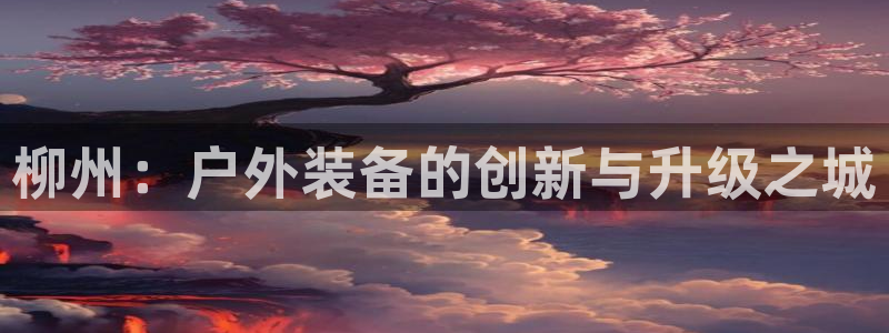 新宝 gg 登录注册