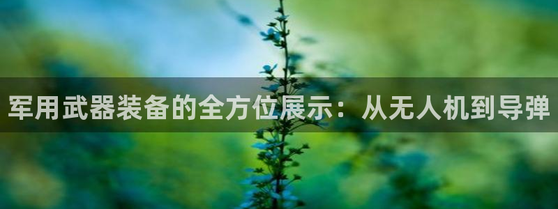 新宝gg帐号注册