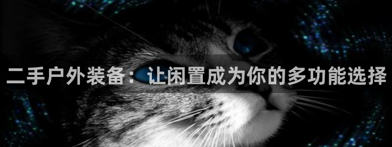 新宝gg登录链接