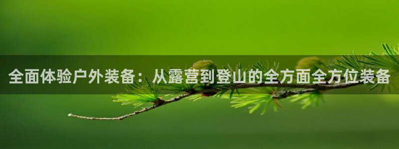 新宝gg登录页面