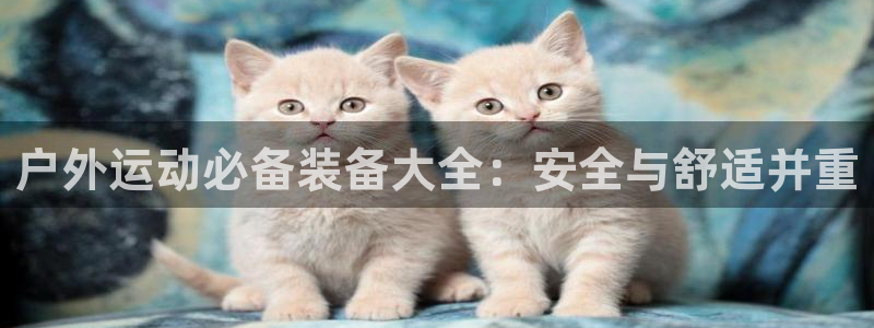 新宝gg创造奇迹平台