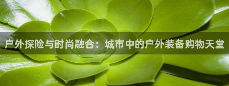 网站新宝GG