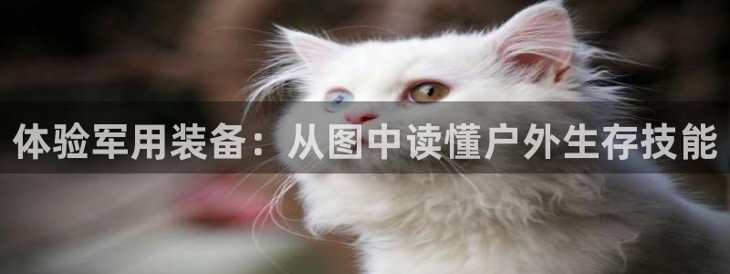 新宝GG登录网页