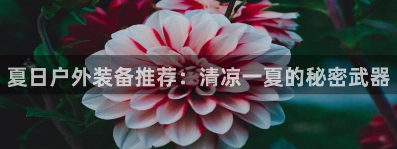 新宝gg平台q891465