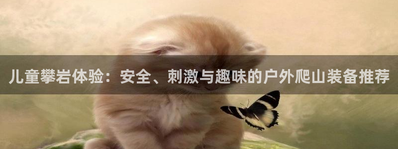 新宝gg娱乐-上鼎狐网