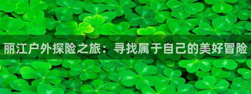 新宝GG娱乐-上皇巢网